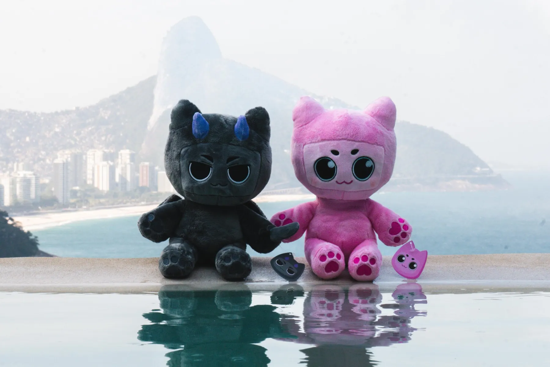Two tubby cats plush sitting by a pool above Rio de Janeiro